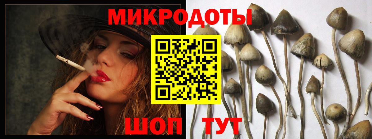Псилоцибиновые грибы мухоморы  купить наркотики цена  Сызрань  Вход с VPN 